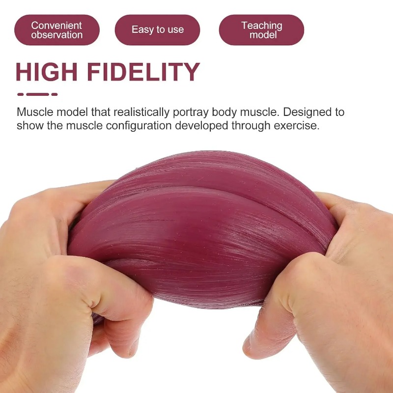 1-pound Human Muscle and Fat R - Nutrition Of Fitness ulasan dan harga