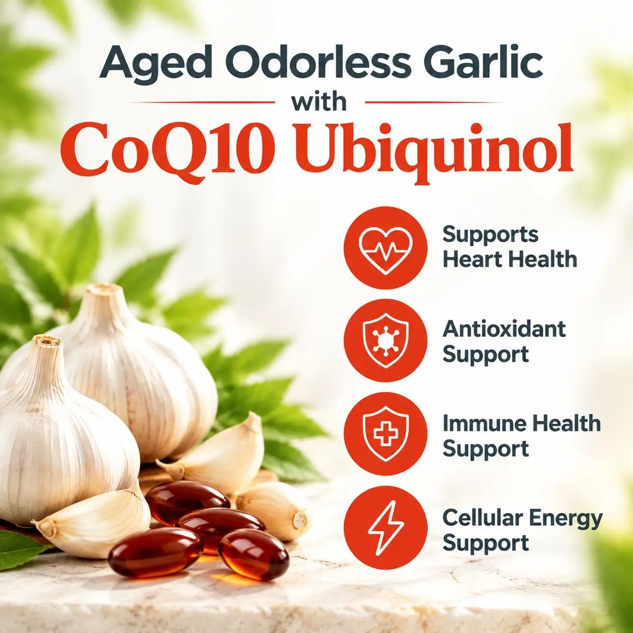 Odorless Aged Garlic Softgels  - Coq10 Ubiquinol Softgel ulasan dan harga